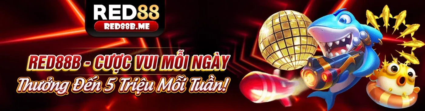 Tin tức bwing login mới nhất về các sự kiện thể thao và khuyến mãi